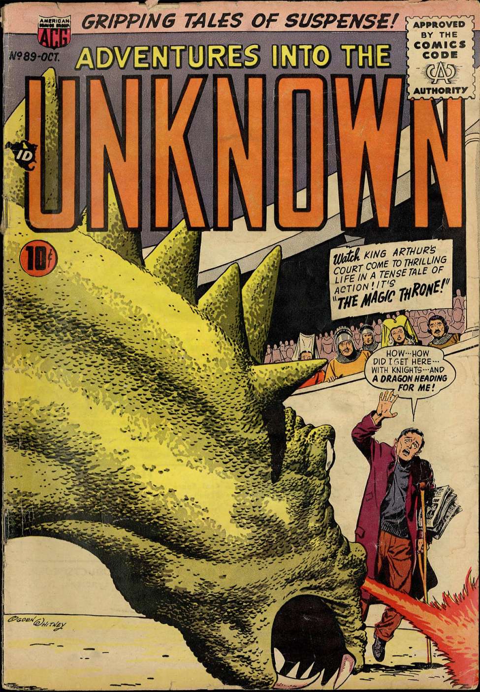 Book Cover For Adventures into the Unknown 89