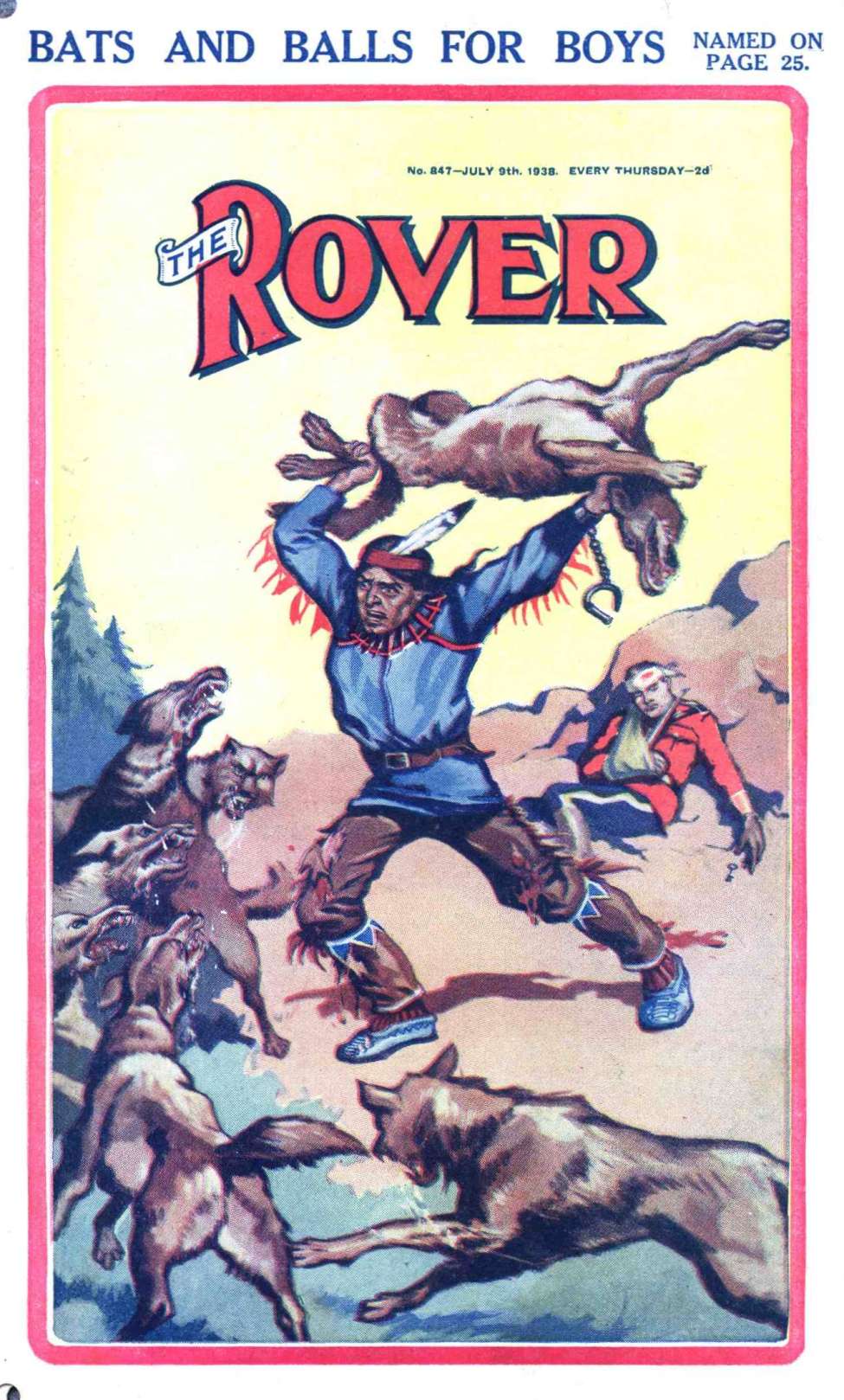 Book Cover For The Rover 847
