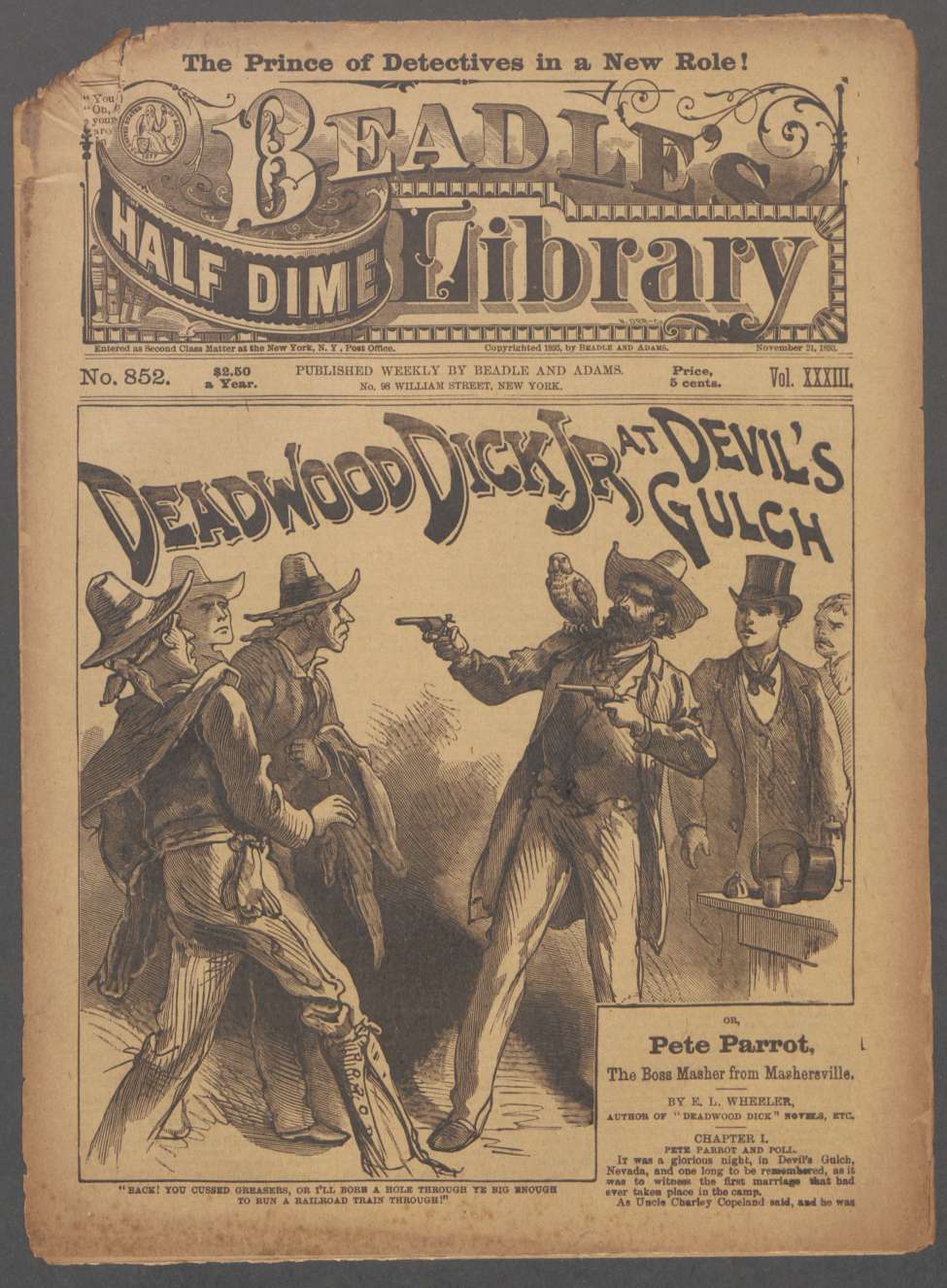 Book Cover For Beadle's Half Dime Library 852 - Deadwood Dick Jr. at Devil's Gulch