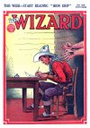 Cover For The Wizard 599