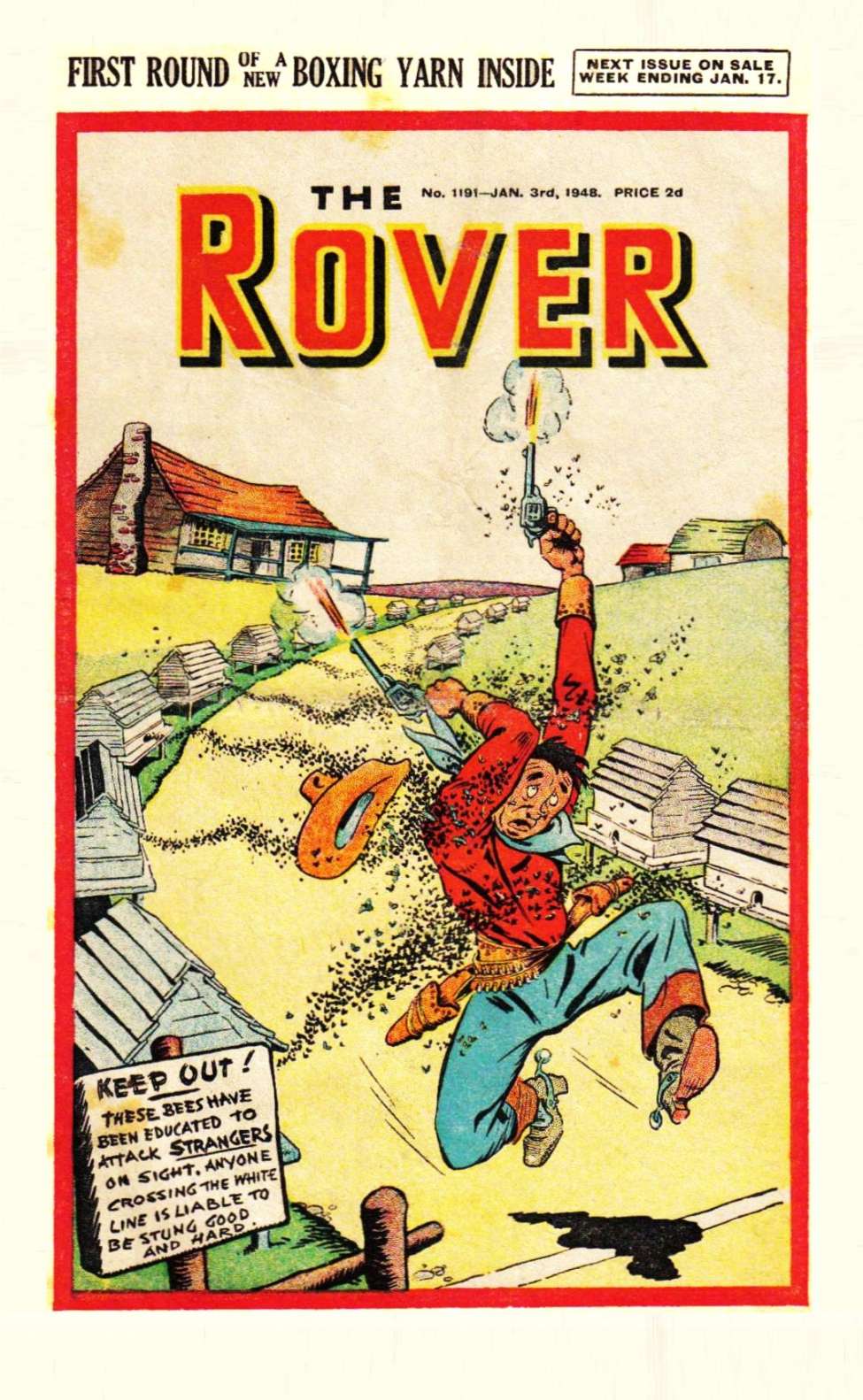 Book Cover For The Rover 1191