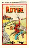 Cover For The Rover 1191