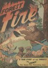 Cover For Forest Fire
