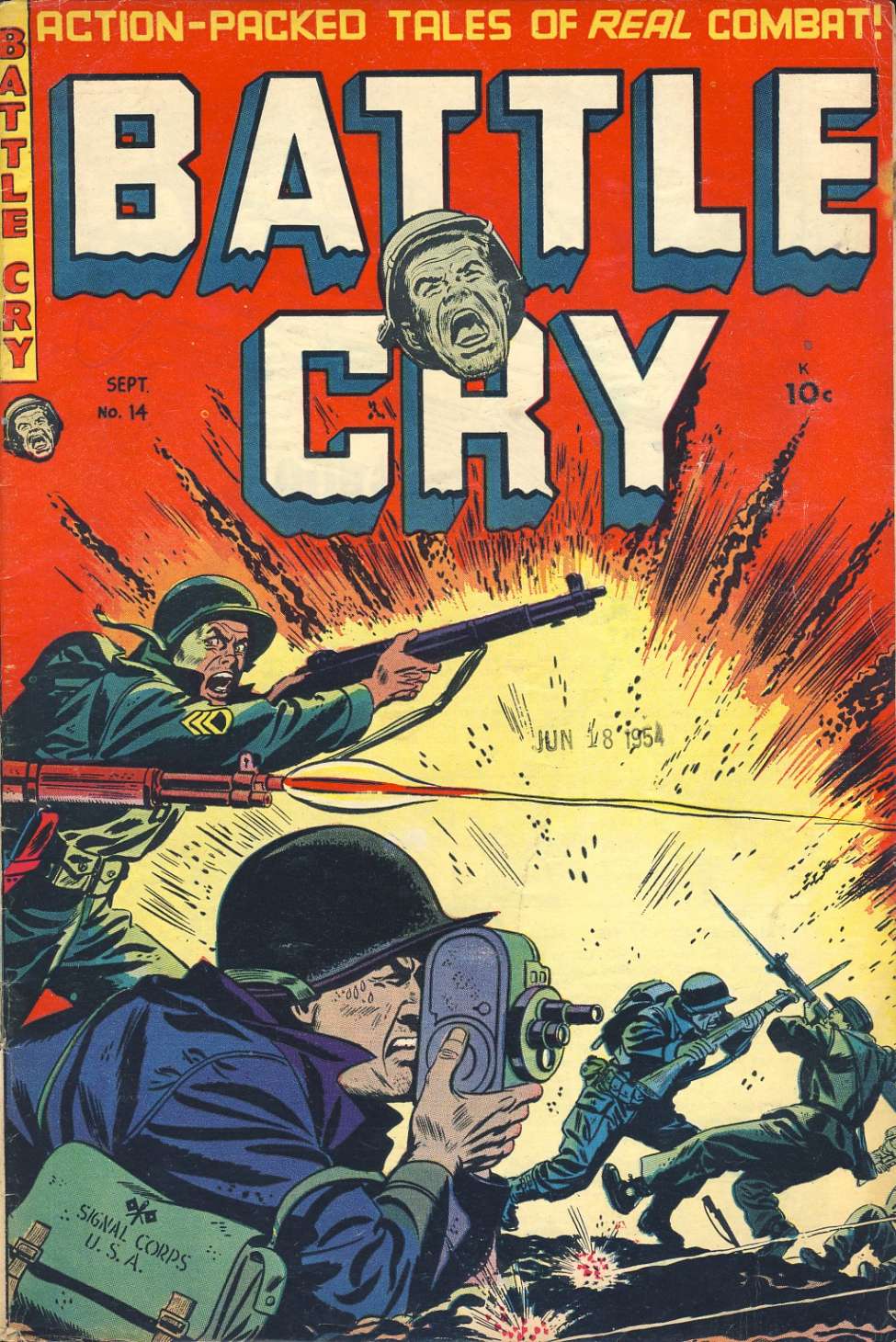 Book Cover For Battle Cry 14