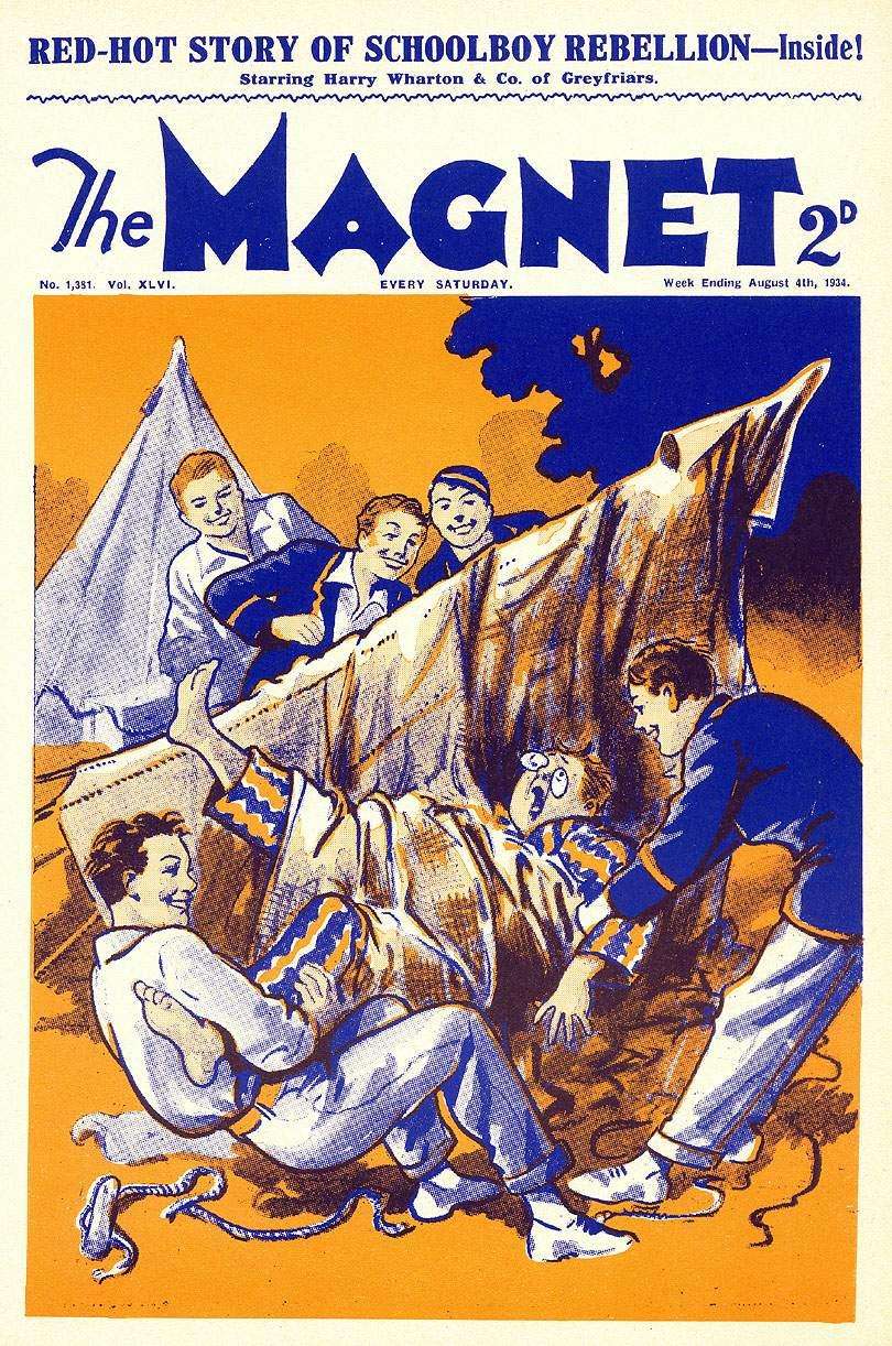 Book Cover For The Magnet 1381 - Fishy's Fearful Fix!