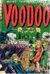 Cover For Voodoo 3