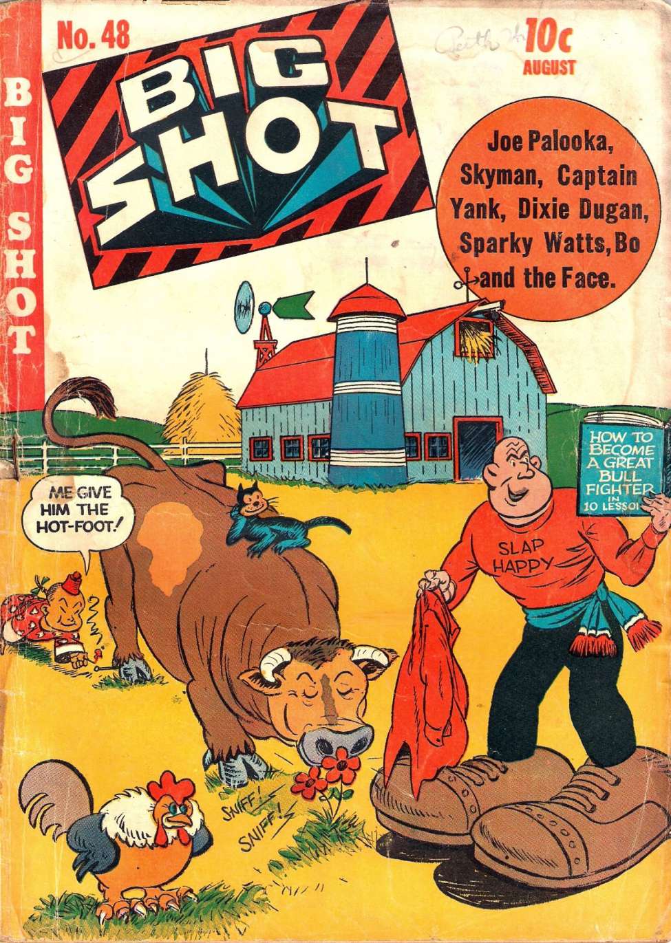 Book Cover For Big Shot 48