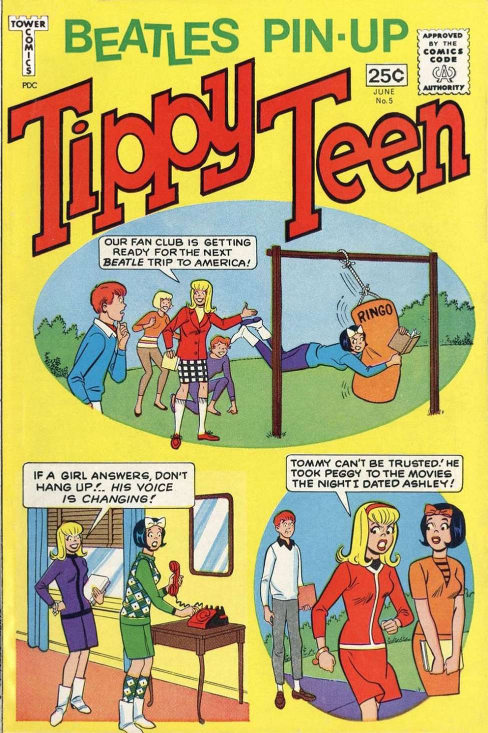 Book Cover For Tippy Teen 5 - Version 2
