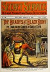 Cover For Secret Service 194 - The Bradys at Black Run