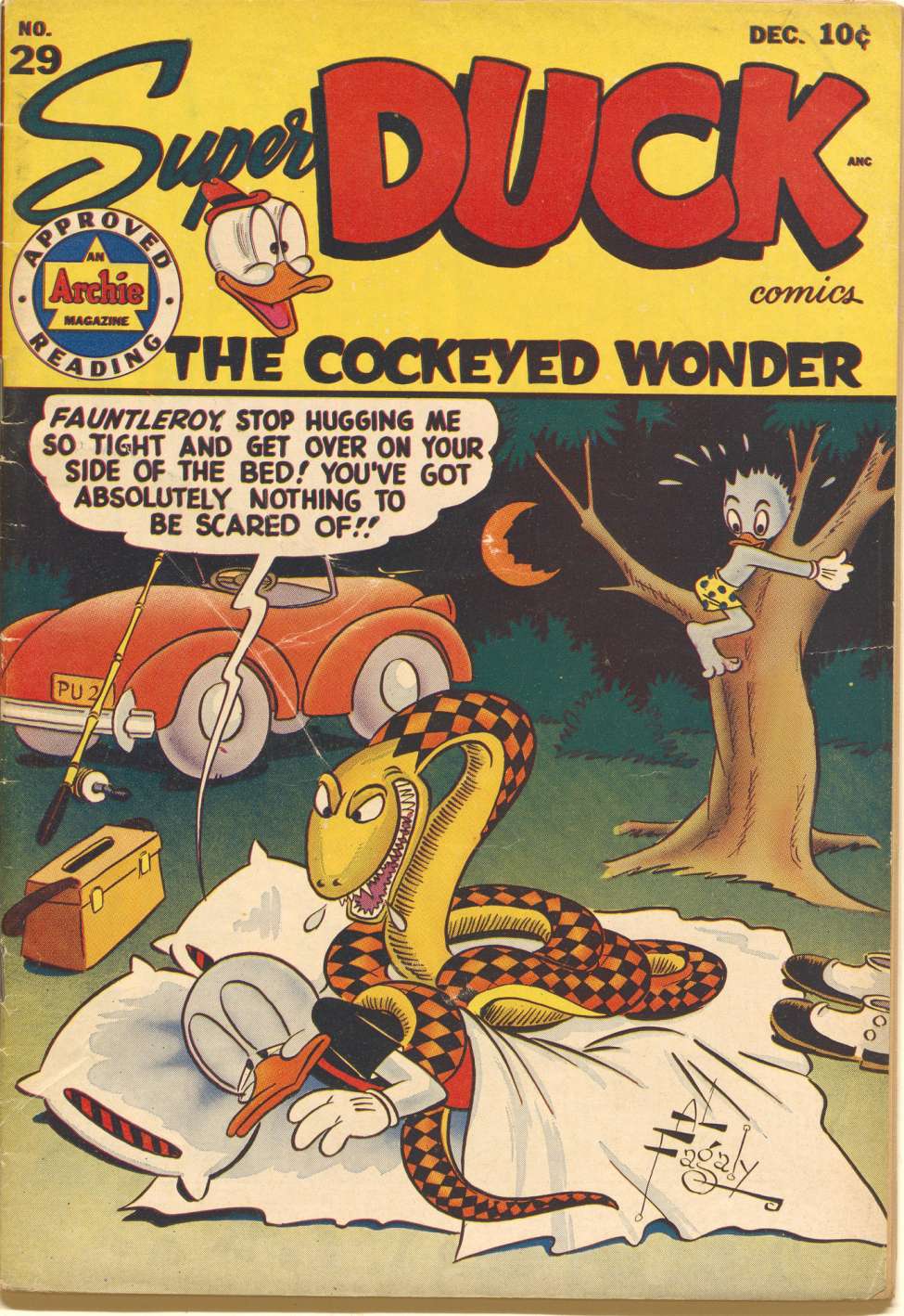 Book Cover For Super Duck 29
