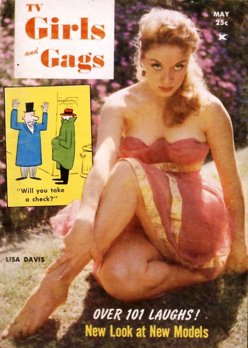 Book Cover For TV Girls and Gags v6 3