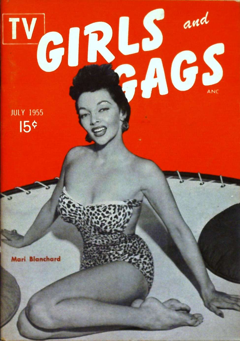 Comic Book Cover For TV Girls and Gags v2 1