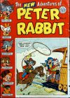 Cover For Peter Rabbit 17