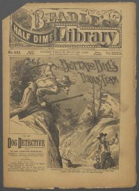 Large Thumbnail For Beadle's Half Dime Library 1013 - Buffalo Bill's Texan Team