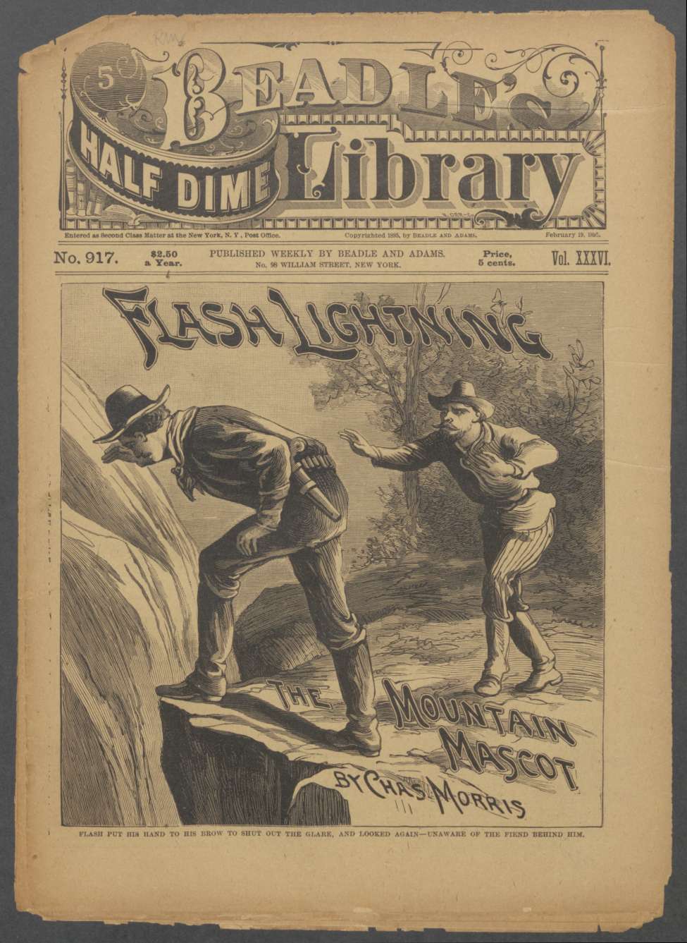 Book Cover For Beadle's Half Dime Library 917 - Flash Lightning, the Mountain Mascot