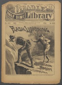 Large Thumbnail For Beadle's Half Dime Library 917 - Flash Lightning, the Mountain Mascot