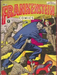 Large Thumbnail For Frankenstein 2