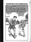 Cover For The Rover 951