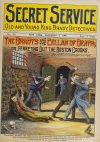 Cover For Secret Service 411 - The Bradys and the cellar of death