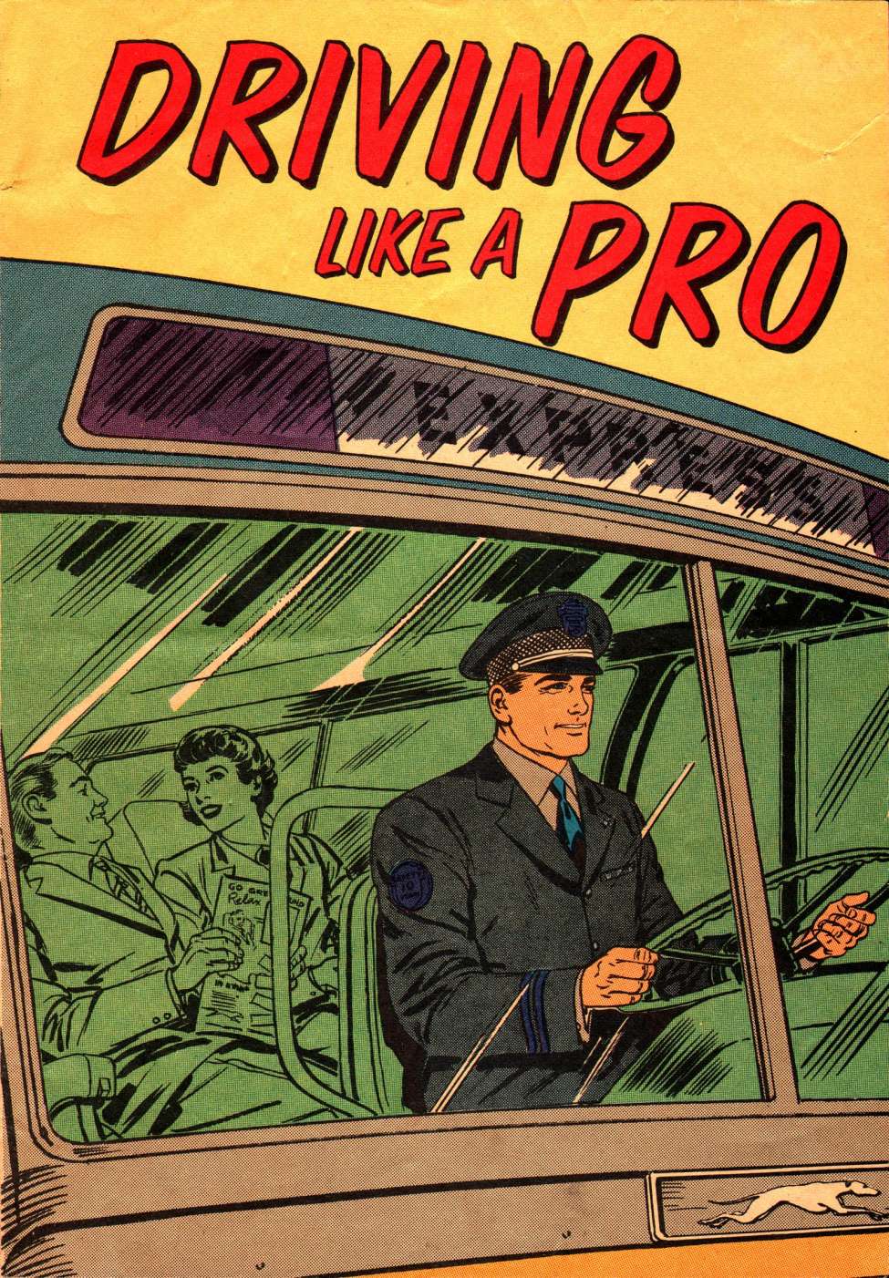 Book Cover For Driving Like a Pro