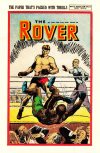 Cover For The Rover 1196