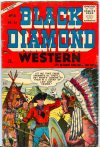 Cover For Black Diamond Western 55