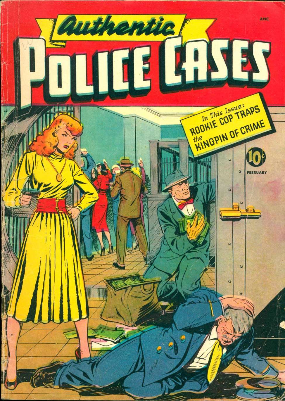 Book Cover For Authentic Police Cases 11