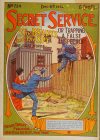 Cover For Secret Service 724 - The Bradys and the Spy