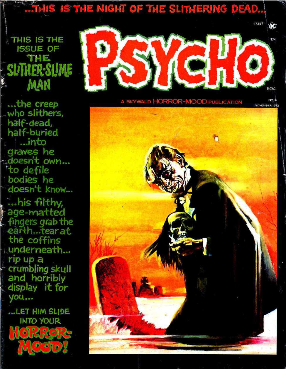Book Cover For Psycho 9