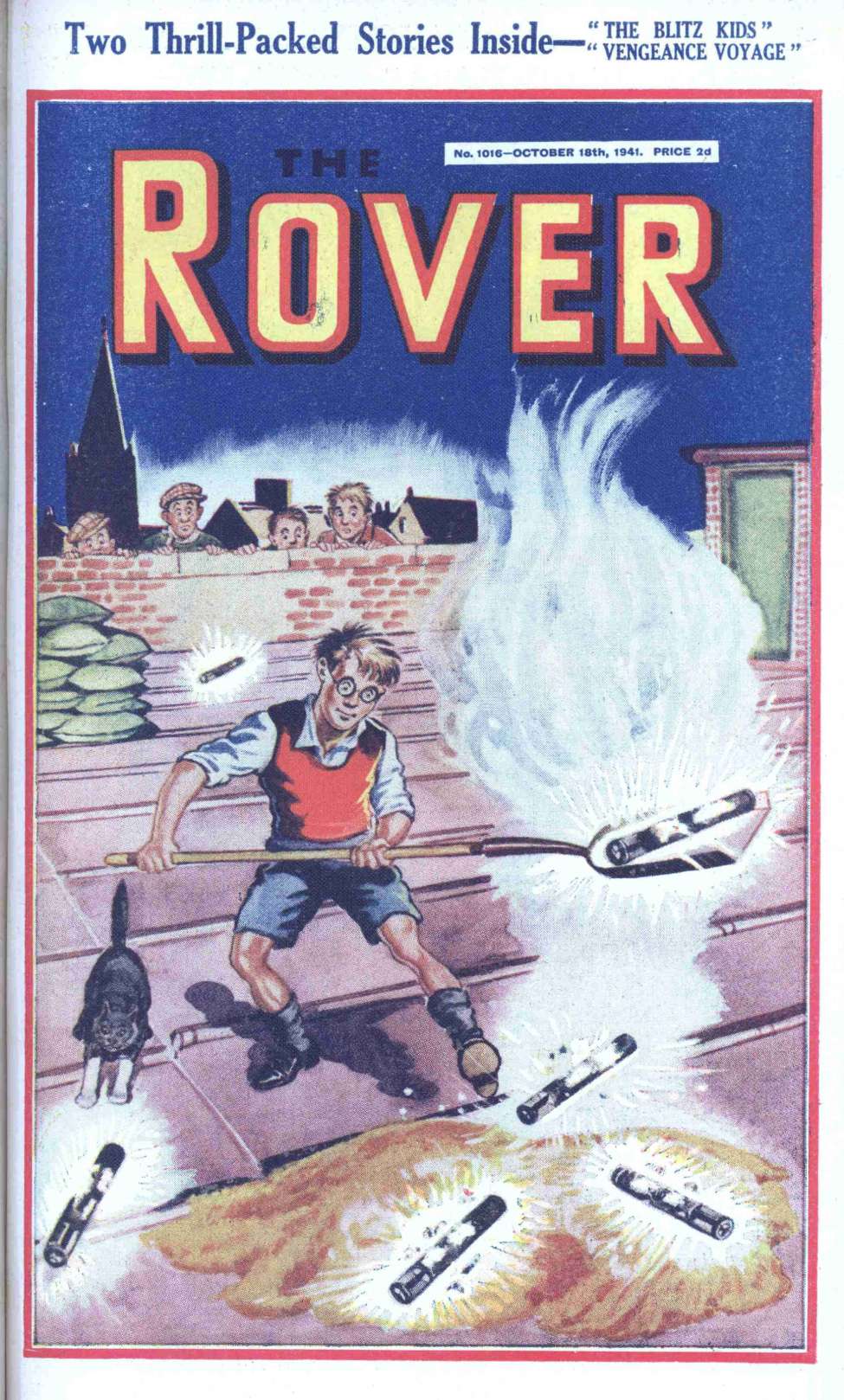 Book Cover For The Rover 1016