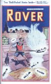 Cover For The Rover 1016