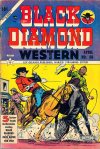 Cover For Black Diamond Western 50