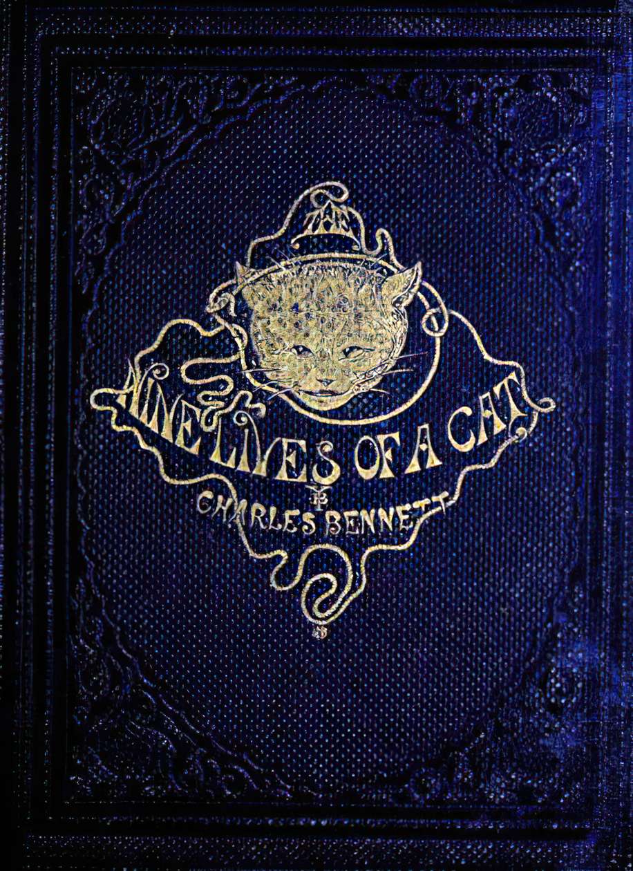 Book Cover For Nine Lives of a Cat