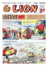 Cover For Lion 117