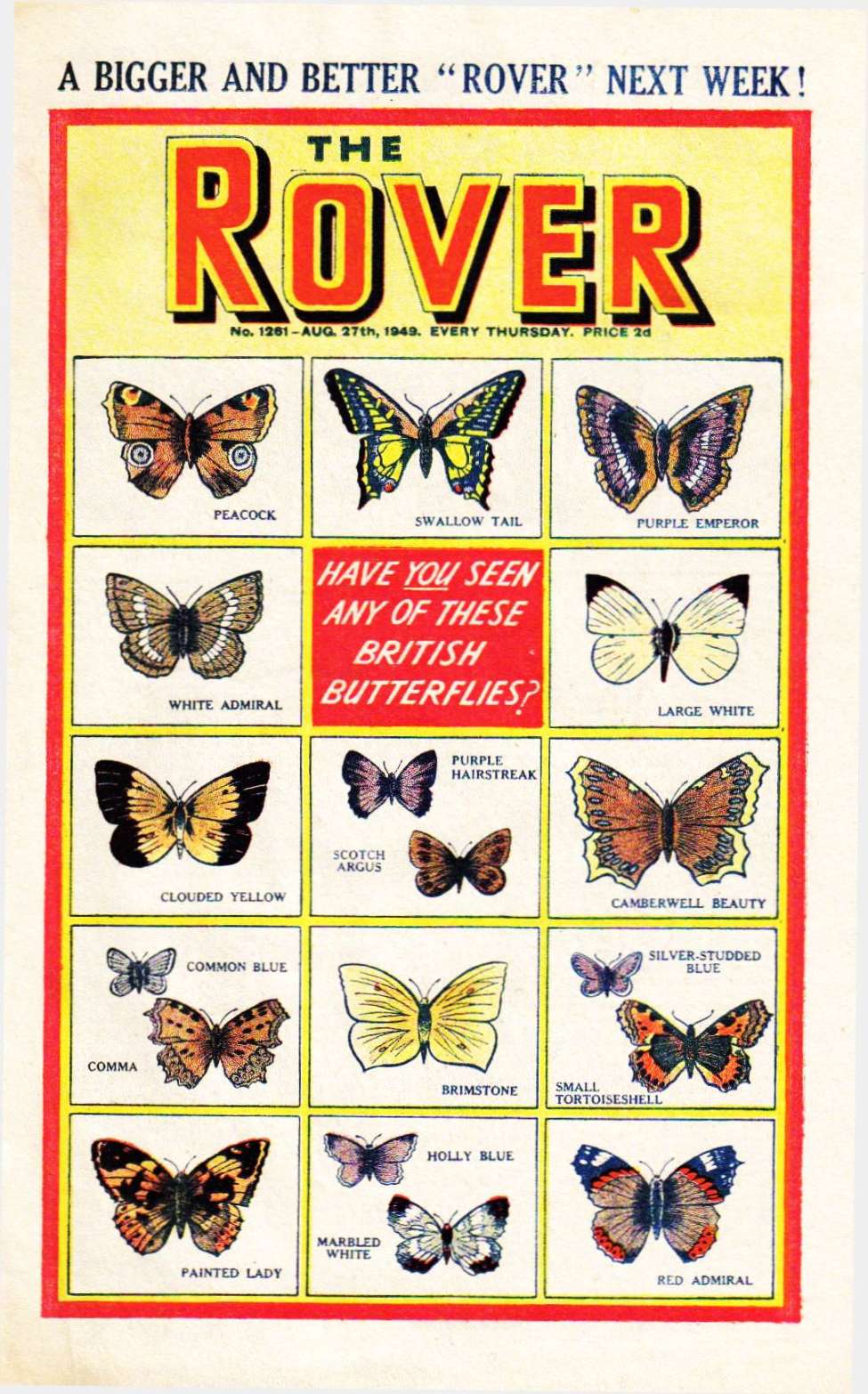 Book Cover For The Rover 1261