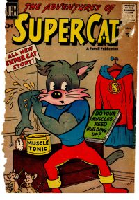 Large Thumbnail For Super Cat 3