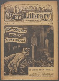 Large Thumbnail For Beadle's Half Dime Library 871 - New York Nat and the Grave Ghouls