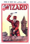 Cover For The Wizard 559