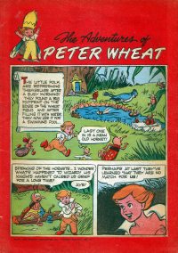 Large Thumbnail For The Adventures of Peter Wheat 34