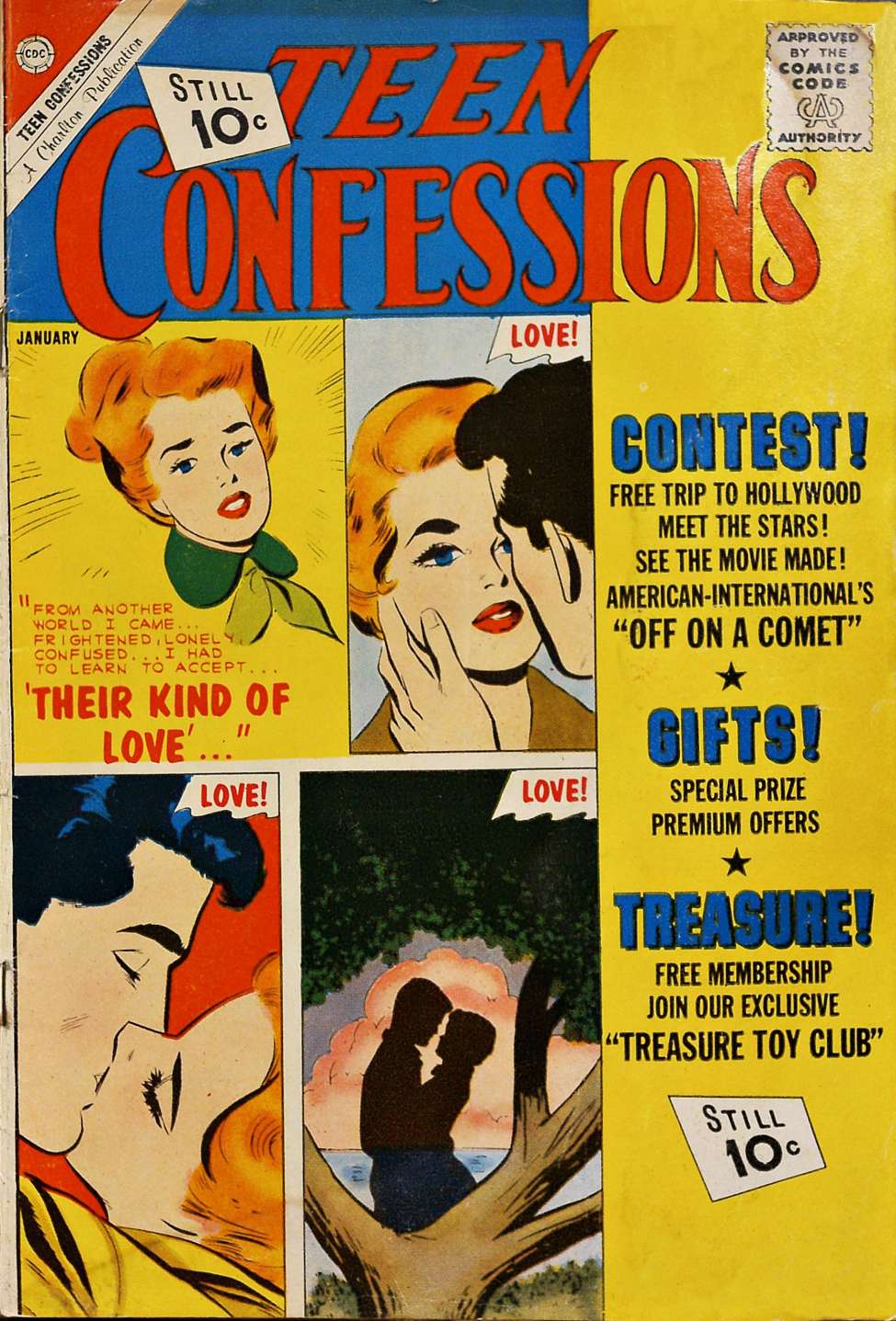 Book Cover For Teen Confessions 15