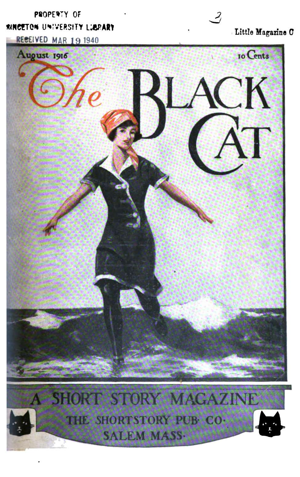 Book Cover For The Black Cat v21 11 - The Sole Survivor - Gerald Morgan
