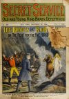 Cover For Secret Service 309 - The Bradys and Bad Buzzard