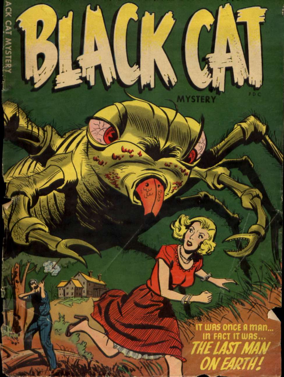 Comic Book Cover For Black Cat 53 (Mystery)