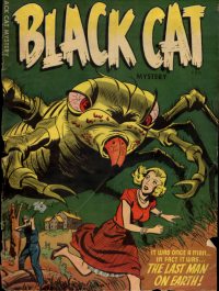 Large Thumbnail For Black Cat 53 (Mystery)