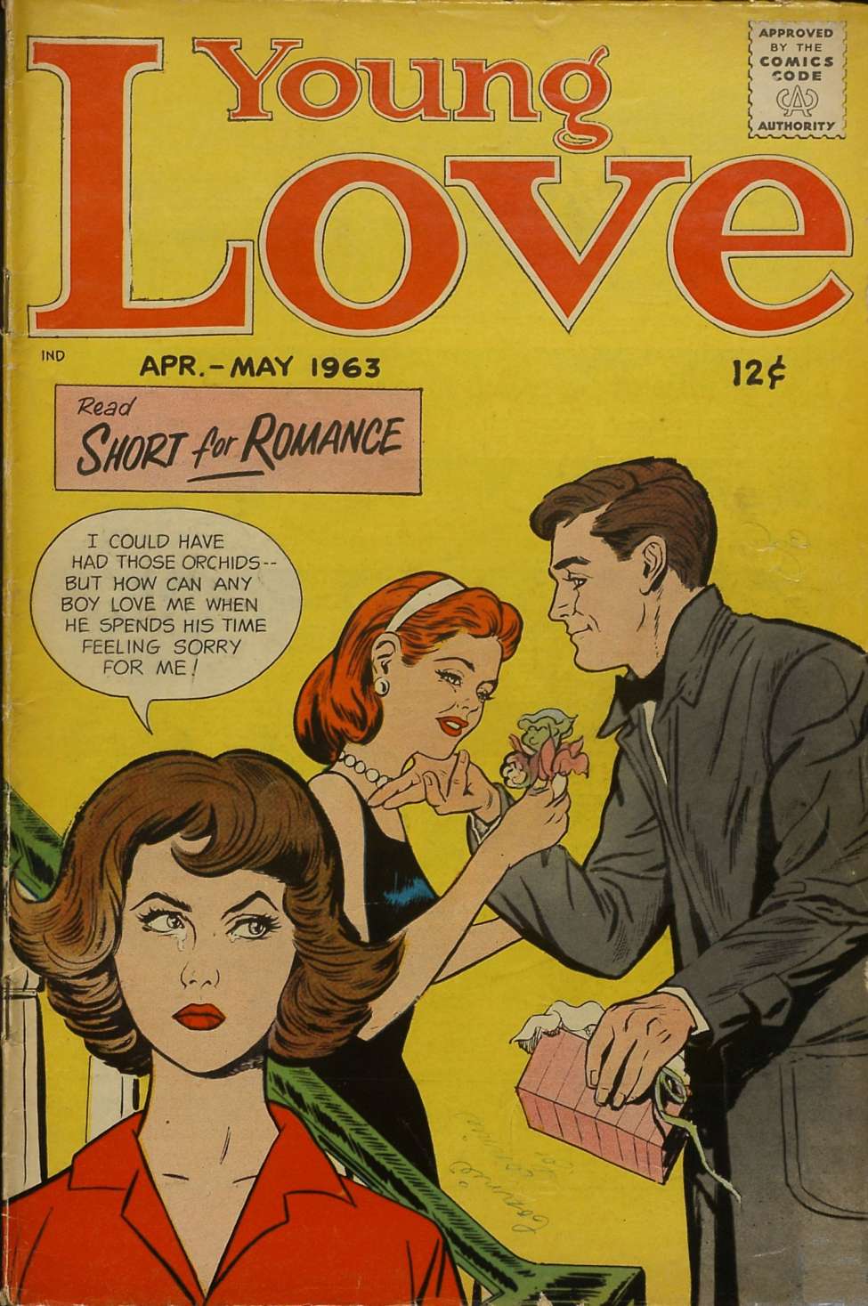 Comic Book Cover For Young Love v6 6