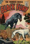 Cover For Black Fury 3
