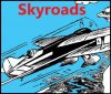 Cover For Skyroads