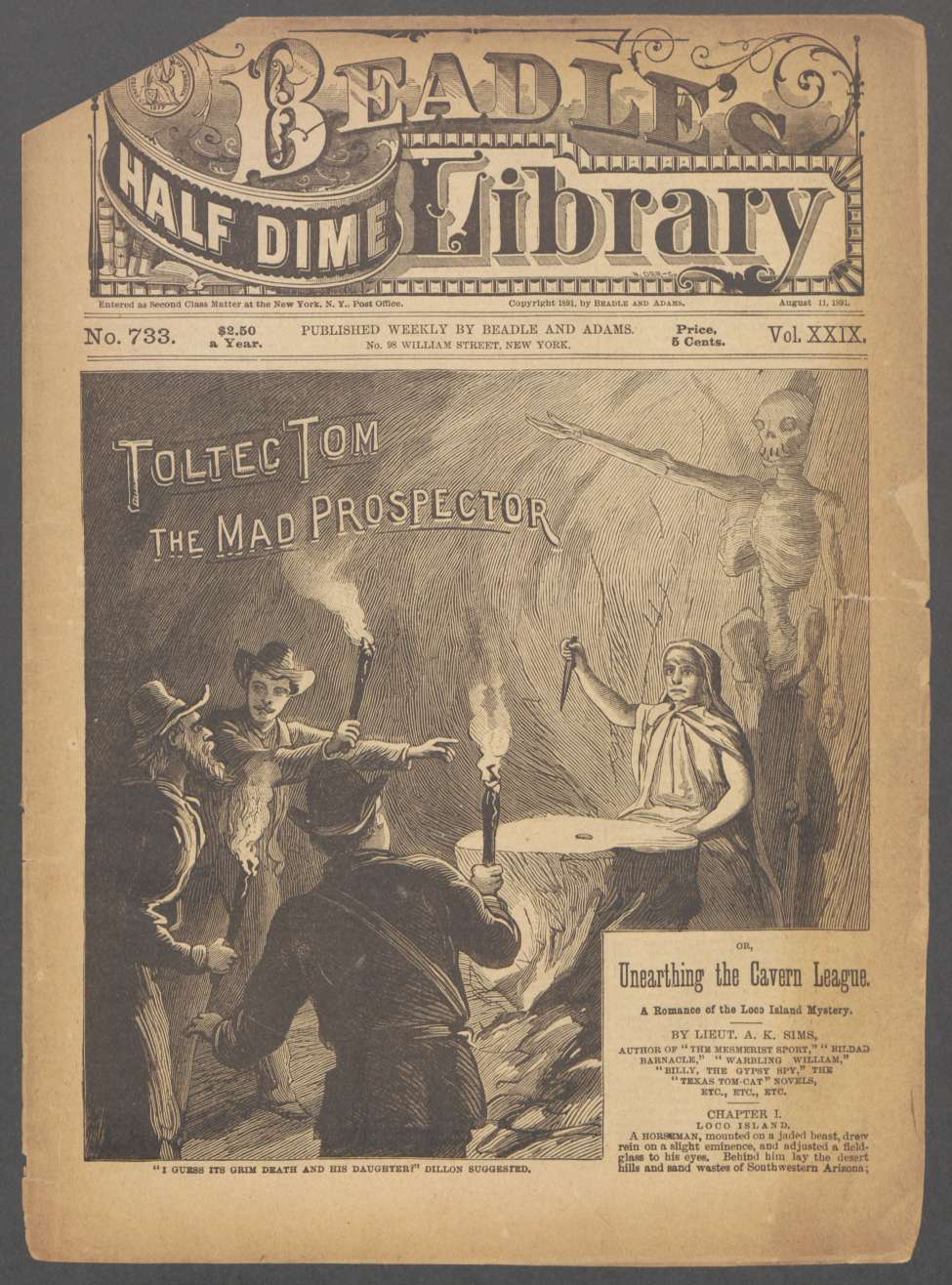 Book Cover For Beadle's Half Dime Library 733 - Toltec Tom, the Mad Prospector