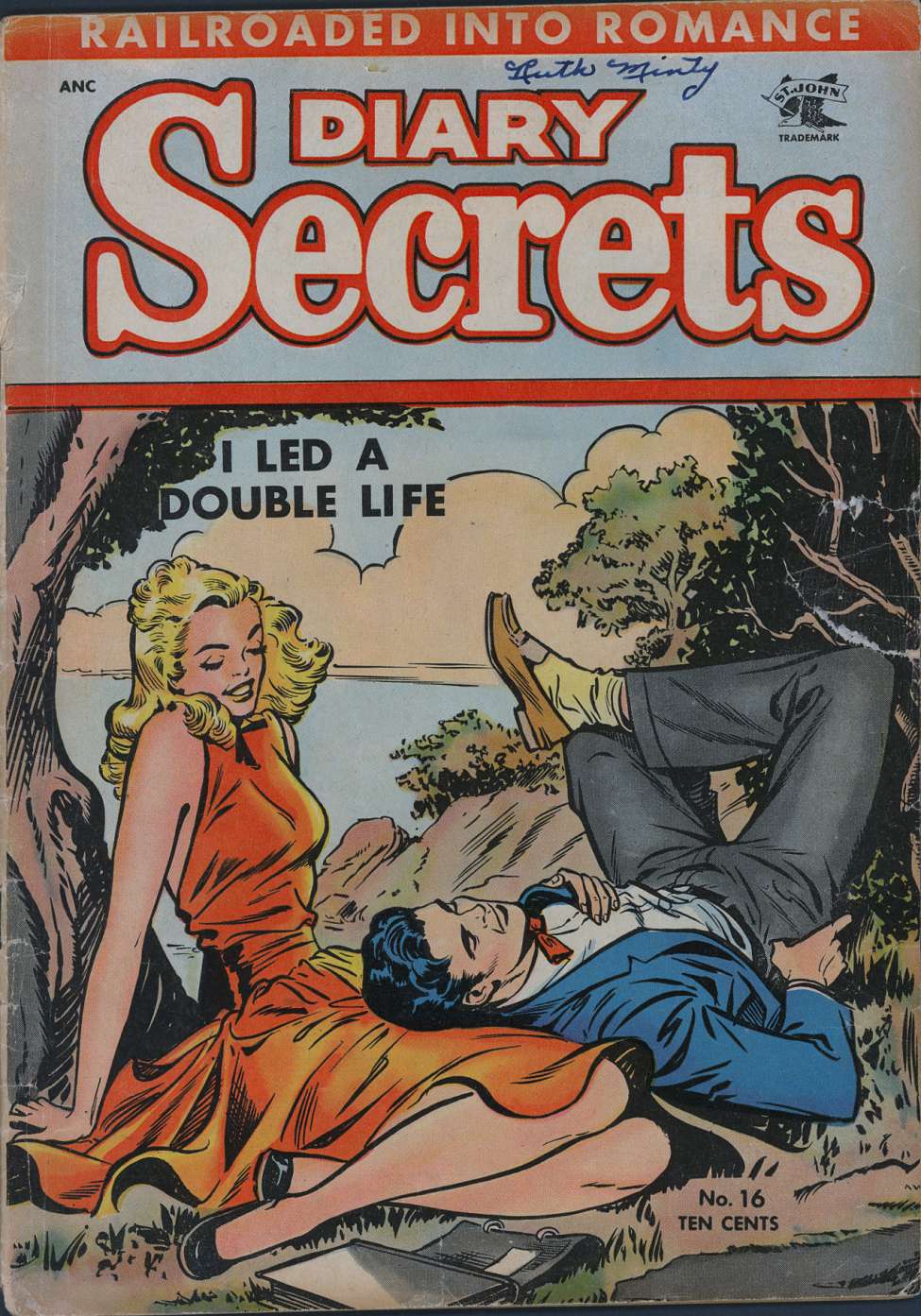 Book Cover For Diary Secrets 16