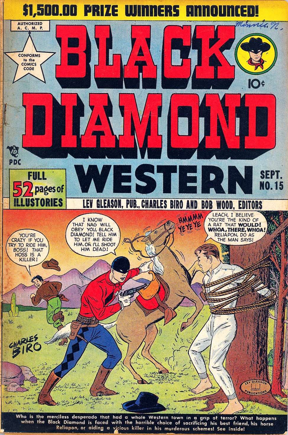 Book Cover For Black Diamond Western 15